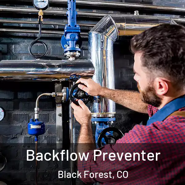  Backflow Preventer Black Forest, CO