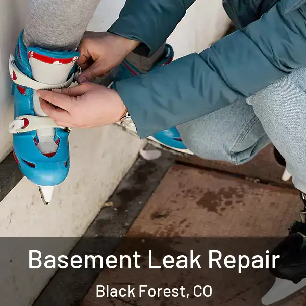 Basement Leak Repair Black Forest, CO