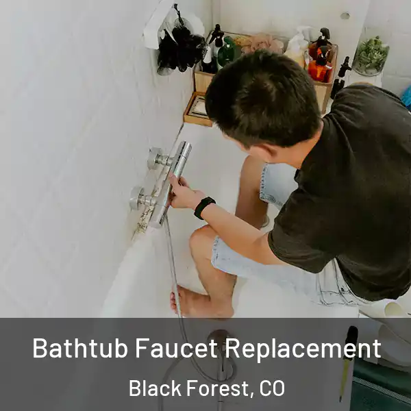  Bathtub Faucet Replacement Black Forest, CO