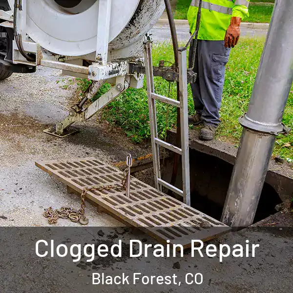  Clogged Drain Repair Black Forest, CO
