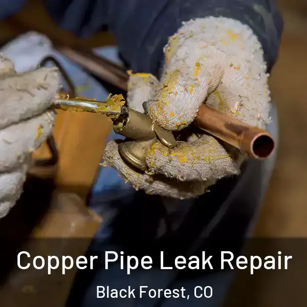 Copper Pipe Leak Repair Black Forest, CO