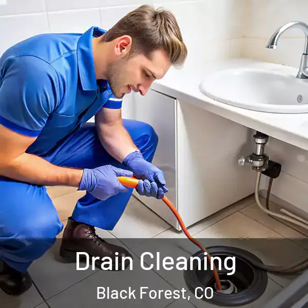  Drain Cleaning Black Forest, CO