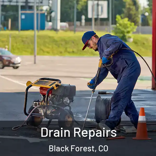  Drain Repairs Black Forest, CO