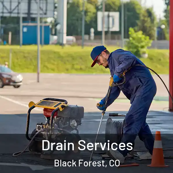  Drain Services Black Forest, CO