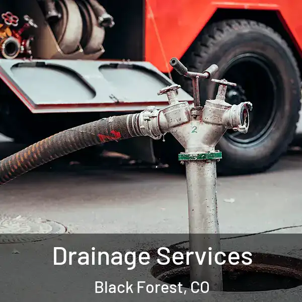  Drainage Services Black Forest, CO