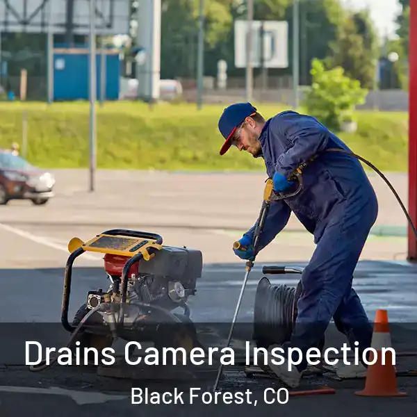  Drains Camera Inspection Black Forest, CO