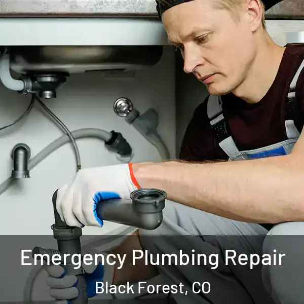  Emergency Plumbing Repair Black Forest, CO
