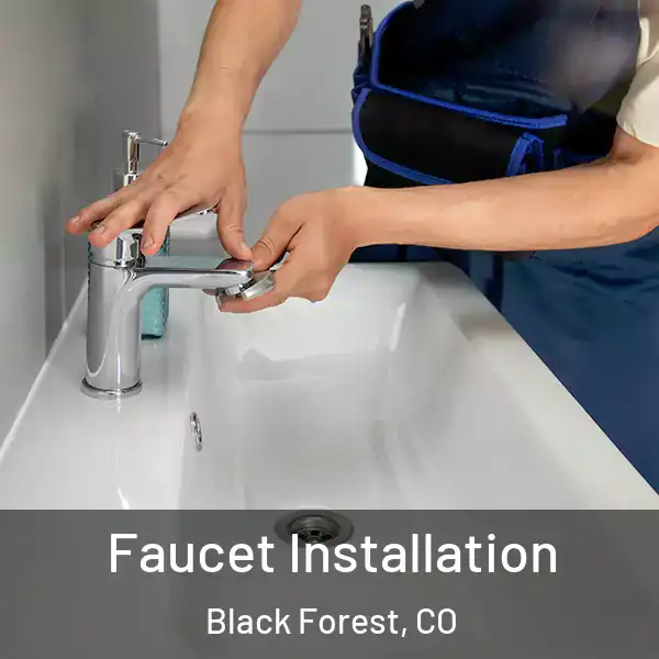  Faucet Installation Black Forest, CO