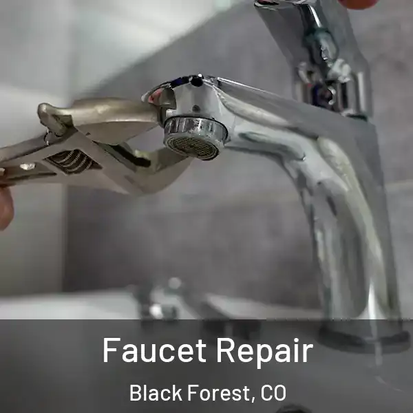  Faucet Repair Black Forest, CO