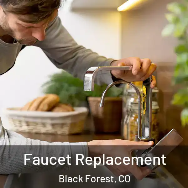  Faucet Replacement Black Forest, CO