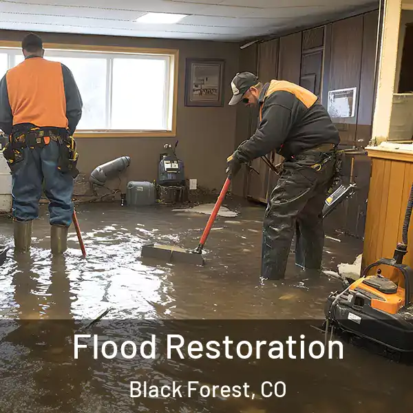  Flood Restoration Black Forest, CO