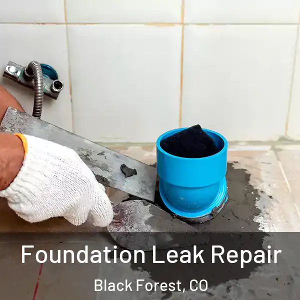  Foundation Leak Repair Black Forest, CO