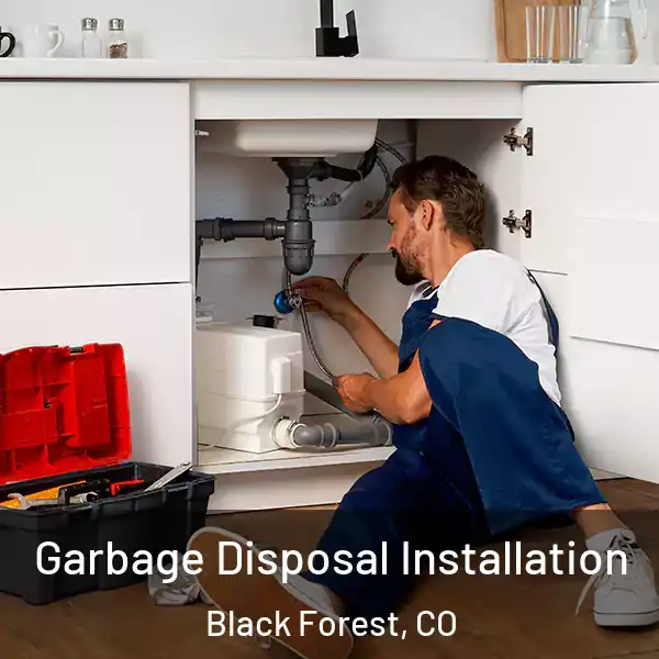  Garbage Disposal Installation Black Forest, CO