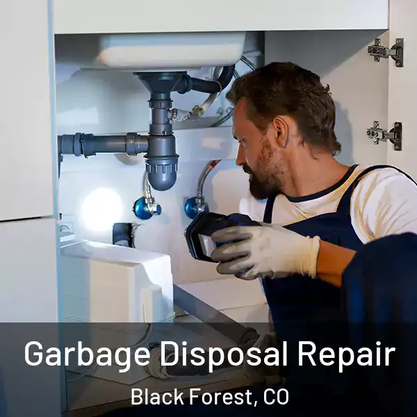  Garbage Disposal Repair Black Forest, CO