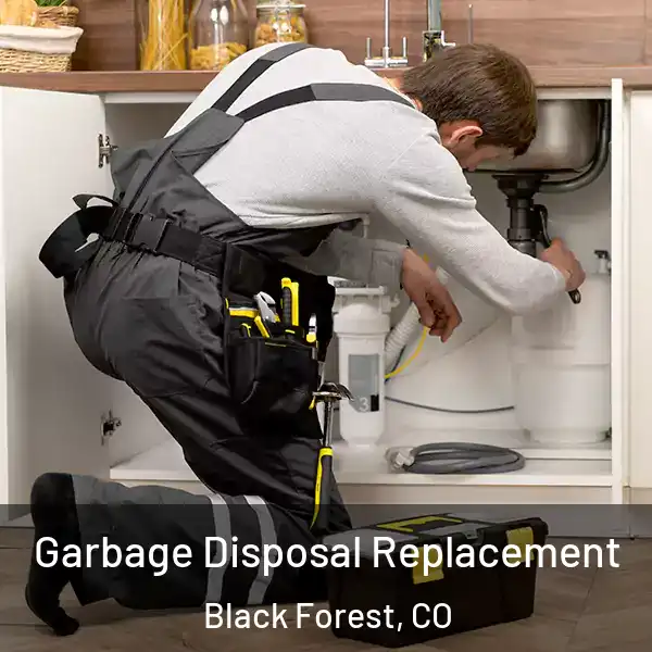  Garbage Disposal Replacement Black Forest, CO