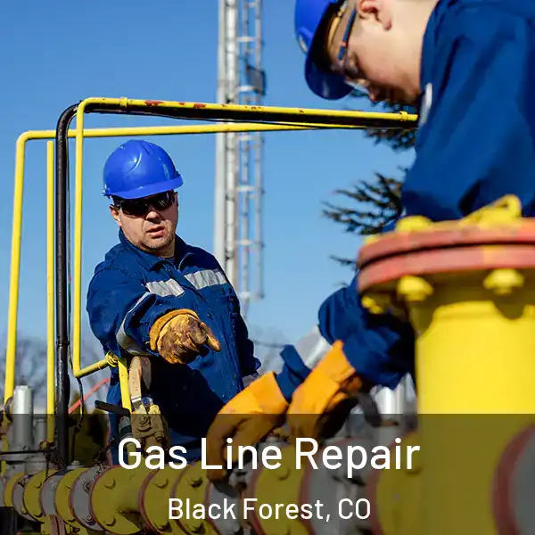  Gas Line Repair Black Forest, CO