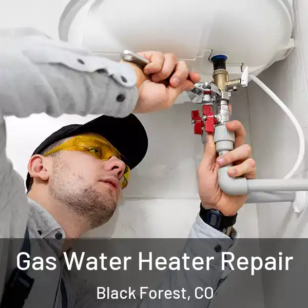  Gas Water Heater Repair Black Forest, CO