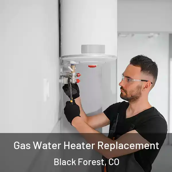  Gas Water Heater Replacement Black Forest, CO