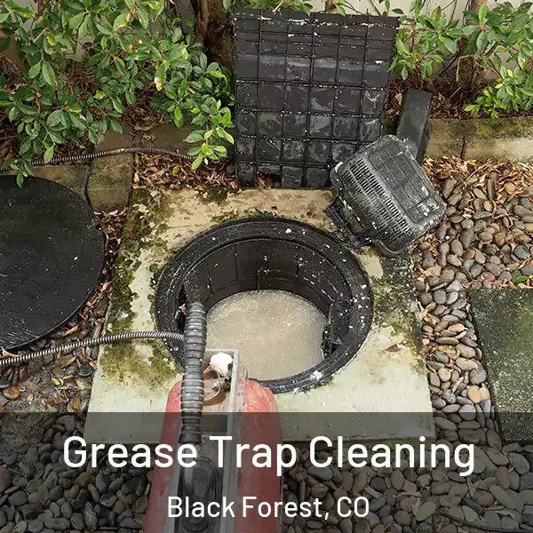  Grease Trap Cleaning Black Forest, CO
