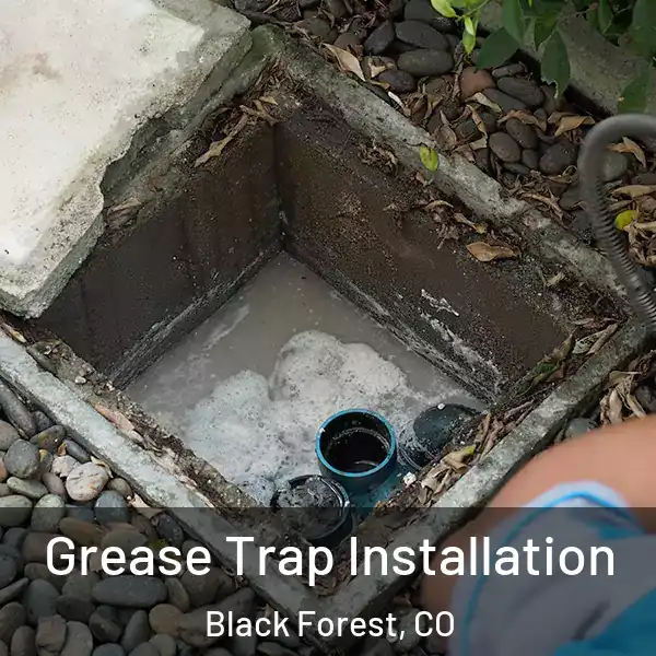  Grease Trap Installation Black Forest, CO