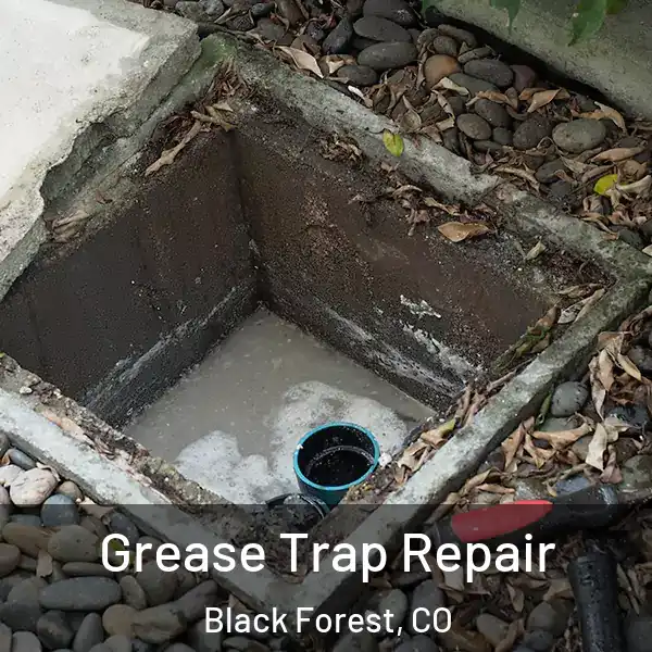  Grease Trap Repair Black Forest, CO