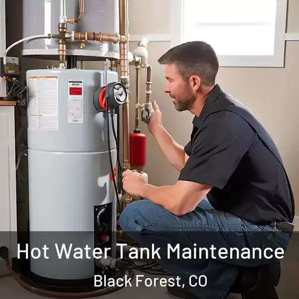  Hot Water Tank Maintenance Black Forest, CO