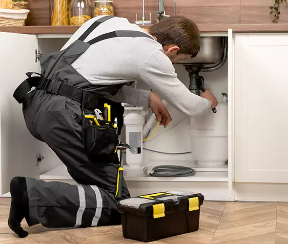 Certified Plumbers for Insinkerator Installation in Black Forest