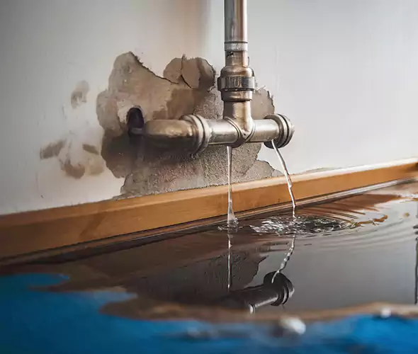 Professional Water Damage Restoration Experts in Black Forest, CO — Fast, Reliable & Certified