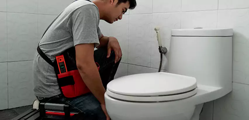 Toilet Repair in Black Forest