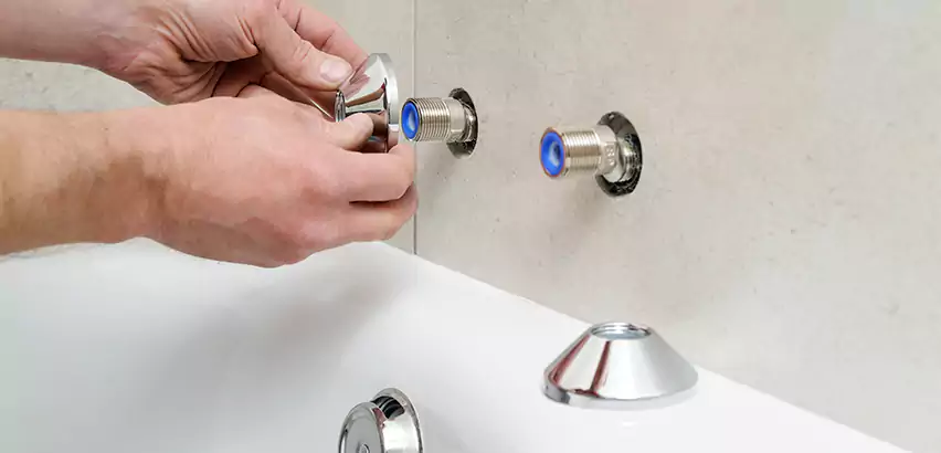 Bathtub Faucet Diverter Replacement in Black Forest