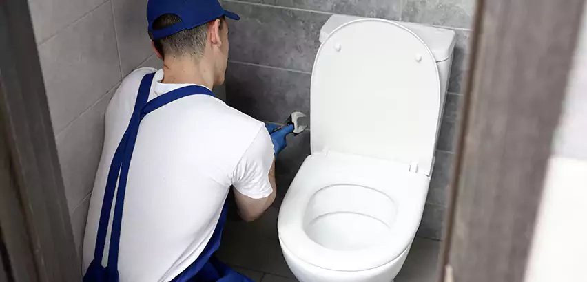 Toilet Lid Replacement in Black Forest