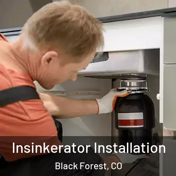  Insinkerator Installation Black Forest, CO