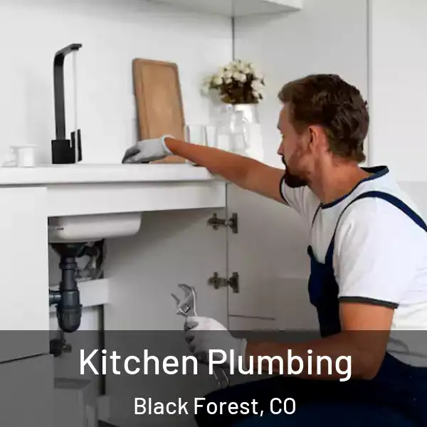  Kitchen Plumbing Black Forest, CO