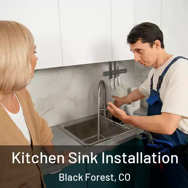  Kitchen Sink Installation Black Forest, CO