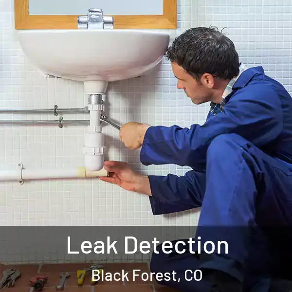  Leak Detection Black Forest, CO