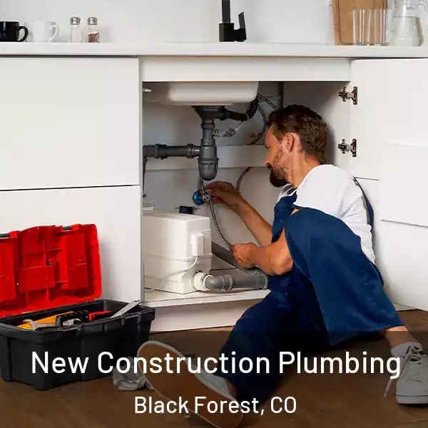  New Construction Plumbing Black Forest, CO