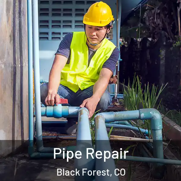  Pipe Repair Black Forest, CO