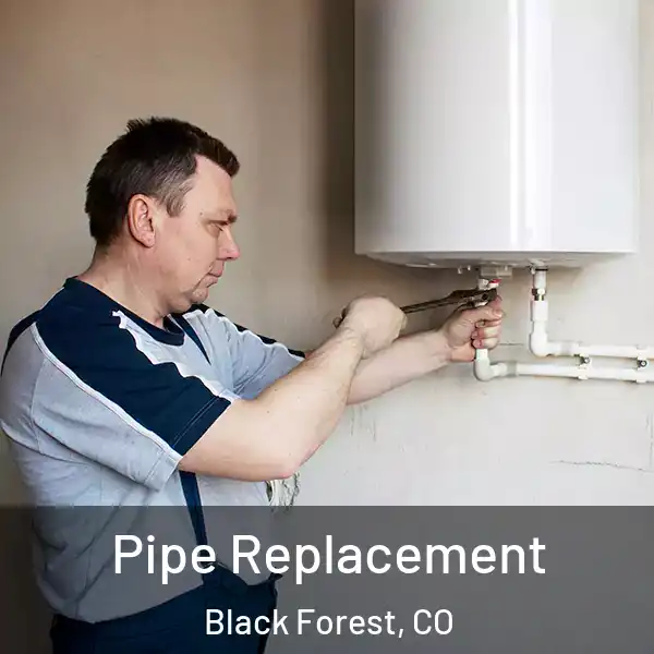  Pipe Replacement Black Forest, CO