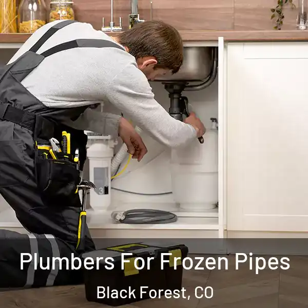  Plumbers For Frozen Pipes Black Forest, CO