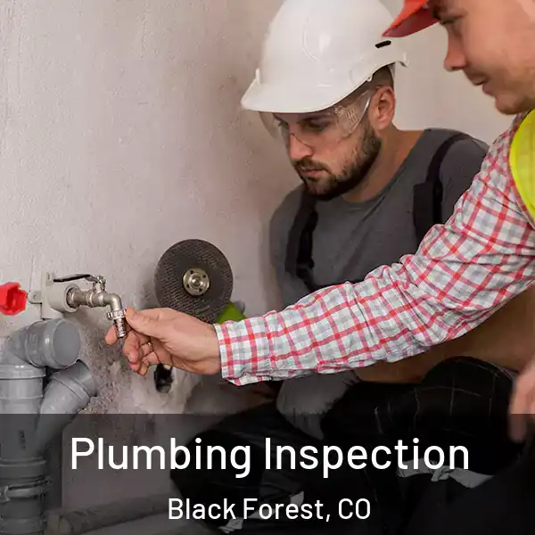  Plumbing Inspection Black Forest, CO