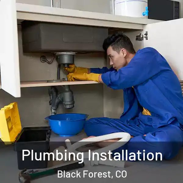  Plumbing Installation Black Forest, CO