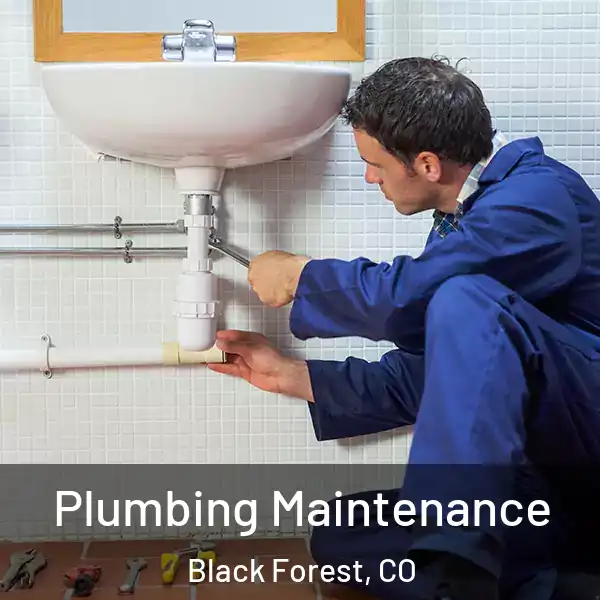  Plumbing Maintenance Black Forest, CO
