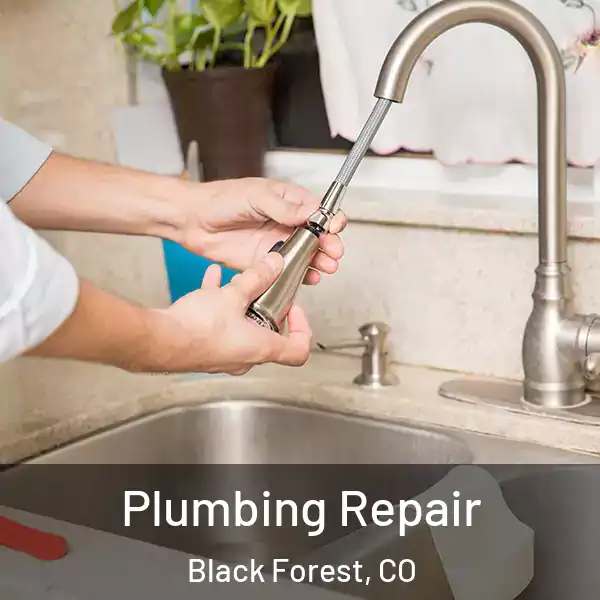  Plumbing Repair Black Forest, CO