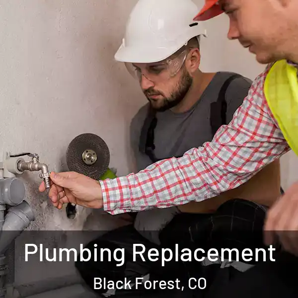  Plumbing Replacement Black Forest, CO