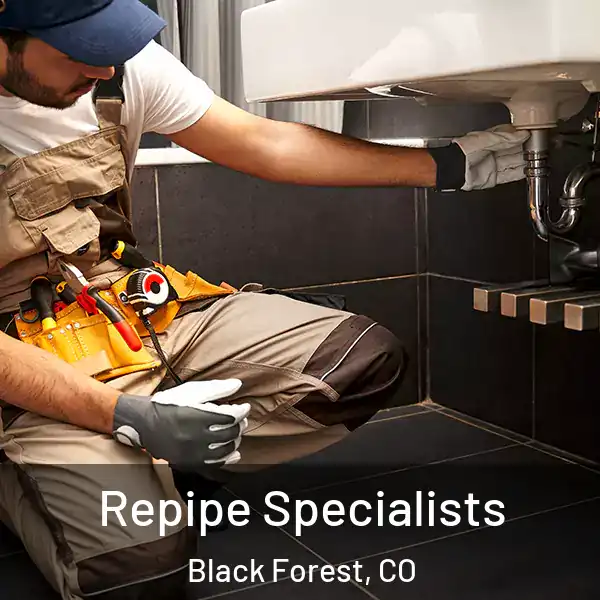  Repipe Specialists Black Forest, CO