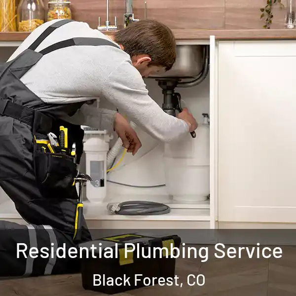  Residential Plumbing Service Black Forest, CO