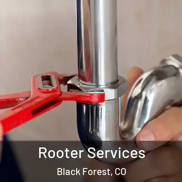  Rooter Services Black Forest, CO