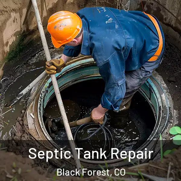  Septic Tank Repair Black Forest, CO