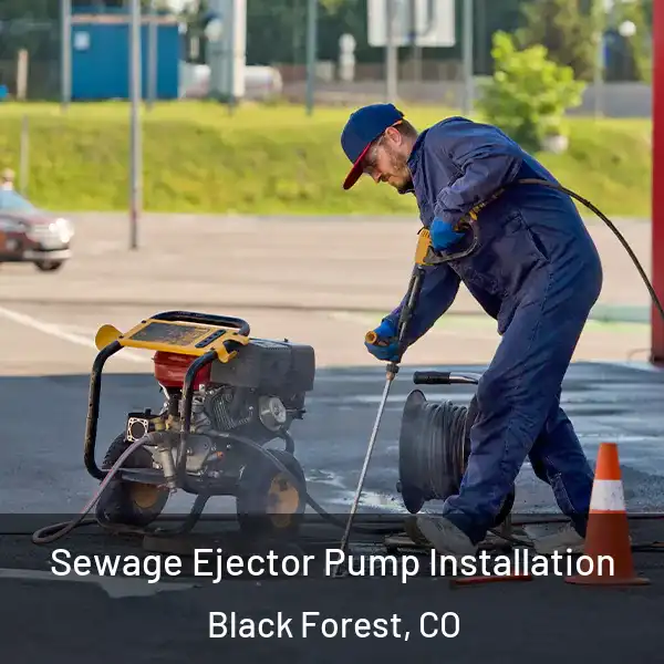  Sewage Ejector Pump Installation Black Forest, CO