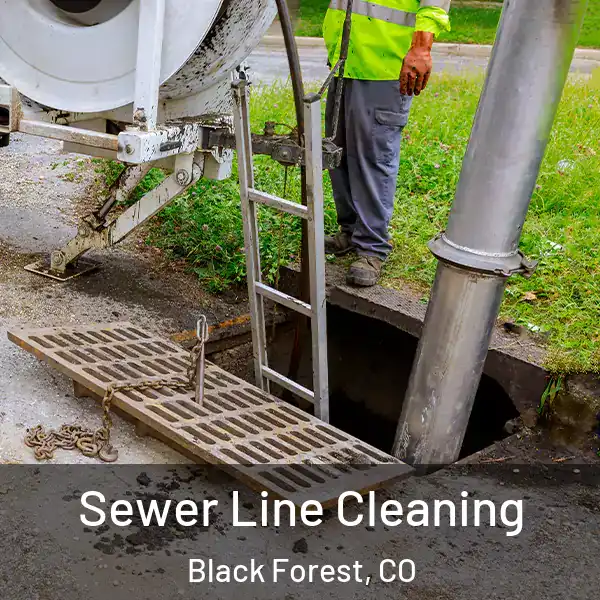  Sewer Line Cleaning Black Forest, CO